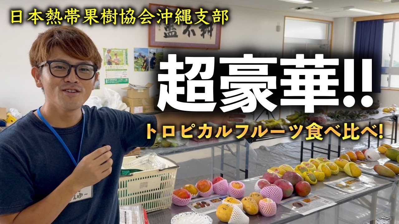 【豪華】超贅沢な熱帯果実の食べ比べ会【日本熱帯果樹協会沖縄支部総会】