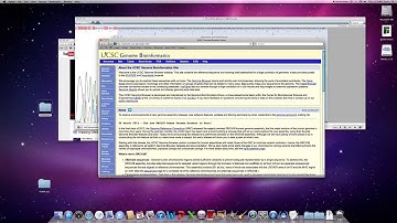 Using 4Peak DNA sequence viewer to check DNA sequence against DNA data bases