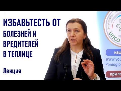 Эти вредители и болезни могут уничтожить ваш урожай в теплице. Борьба с болезнями и вредителями.