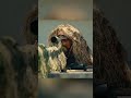 Extraordinary.Rescue Introduction:This movie is a Chinese movie Extraordinary.Rescue
