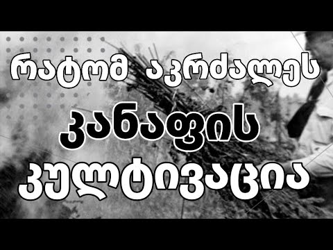 რატომ აკრძალეს მარიხუანას კულტივაცია