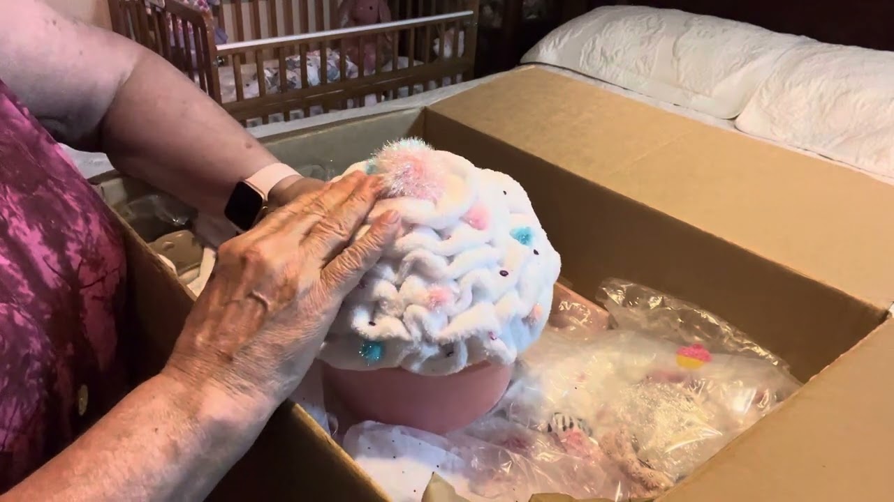 My 2024 Christmas Custom Reborn box opening #whateveriwantmonday