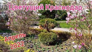 Наконец весна🌹 в Краснодаре апрель 2022 Переезд в Краснодар