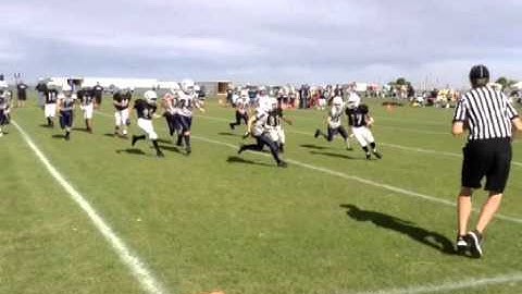 Line Judge - Goal Line