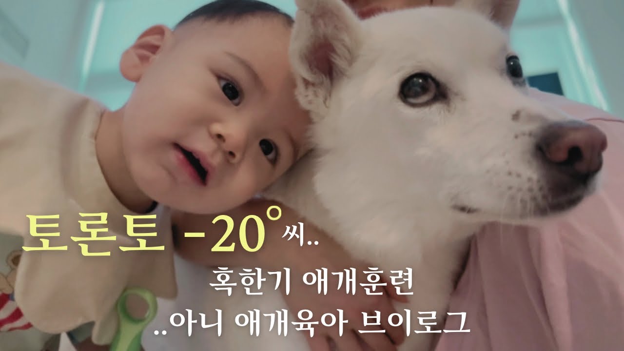 -20도 토론토 날씨속 애개육아 브이로그 🥶 15개월 아기일상