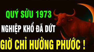 Tuổi Quý Sửu 1973 Người Mang Nghiệp Mệnh Khó Khăn, Nhưng Hậu Vận Được Trời Độ Không Ngờ!