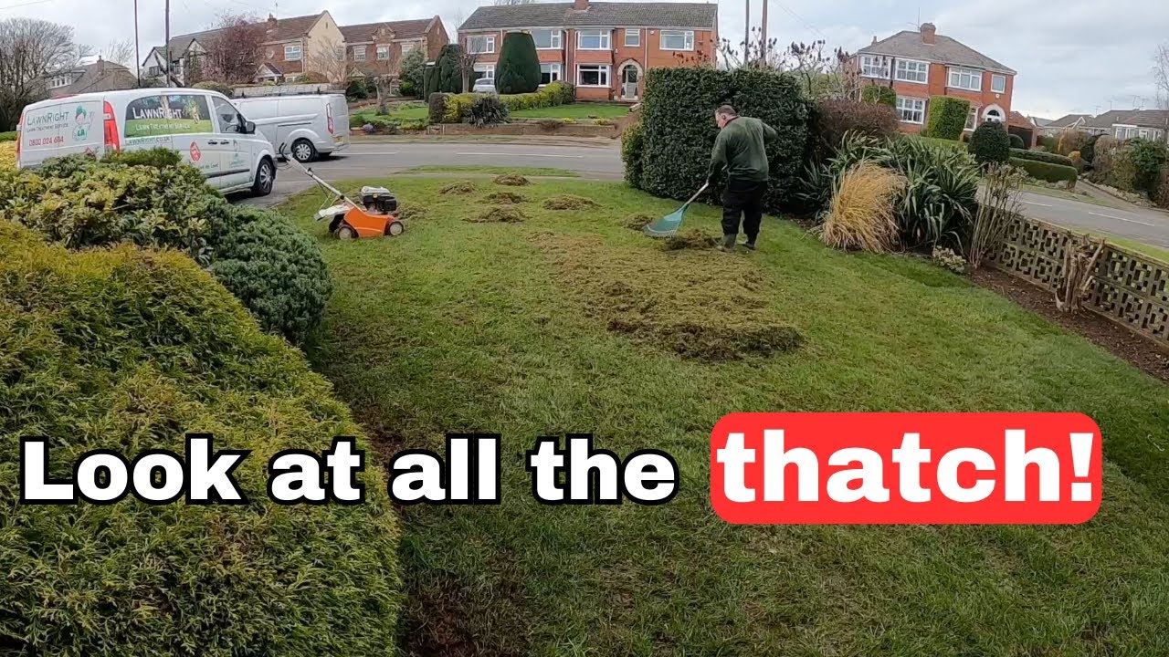 Scarify Every Year OR REGRET IT! Top Lawn Care Tips YouTube