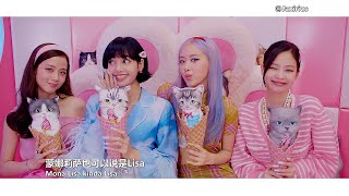 【中英字幕】BLACKPINK - Ice Cream (with Selena Gomez) 中字MV