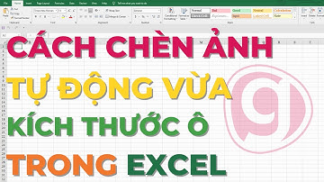 Cách chèn ảnh tự động vừa theo kích thước ô trong Excel