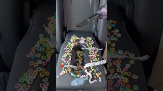 A must-have gadget for driving, small in size, handles all hygiene dead corners inside the car.