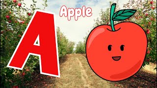 A is for Apple a a apple I ABC Song Nursery Rhymes I Learn the Alphabet Letters