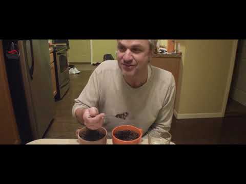 Video: Is it possible to eat coffee grounds