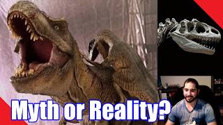 Reacting to ExtinctZoos Dinosaur Myths That Are True (Hes Great!)