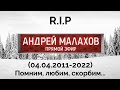 R.I.P Прямой эфир/Андрей Малахов. Прямой эфир (2011-2022)