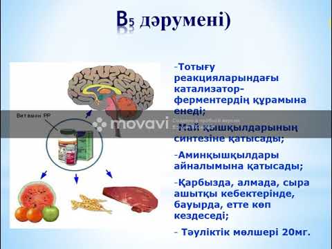 Дәрумендер- олардың сипаттамасы және оларды жіктеу