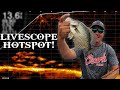 Crappie Brushpiles with LIVESCOPE