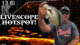 Crappie Brushpiles with LIVESCOPE