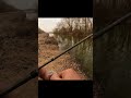 Catching pre spawn Bass fishing in February