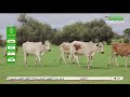 وثائقيات حياة البادية والسياحة في الداخل