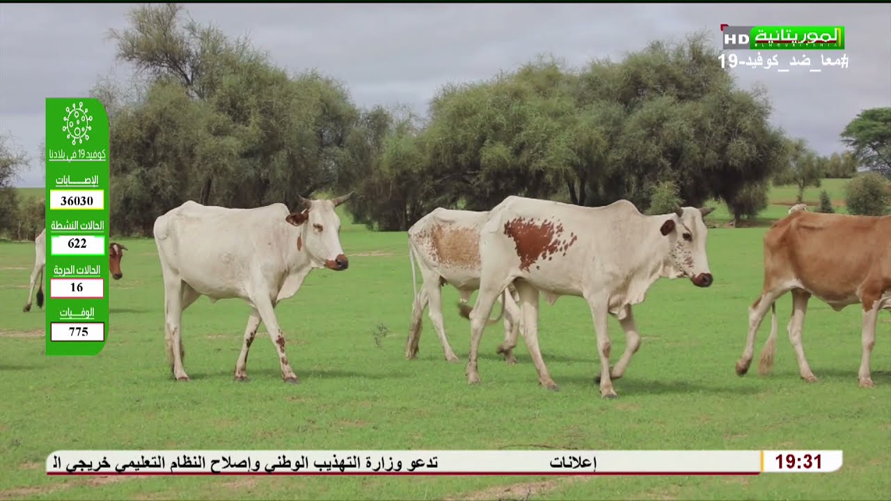 وثائقيات: حياة البادية والسياحة في الداخل