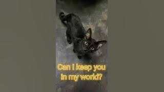 Download lagu Stick Around - Azure (With Lyrics)