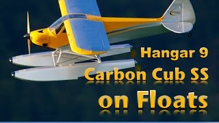 Hangar 9 Carbon Cub 15 cc on Floats