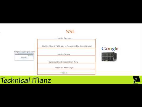 How To Scan Website Using SSL on Kali Linux