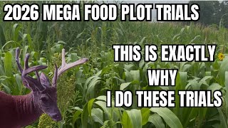 2026 MEGA FOOD PLOT TRIALS....WOW!! NEVER STOP LEARNING AND TRY TO IMPROVE FOOD PLOTS FOR DEER!