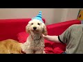 Beginning of video