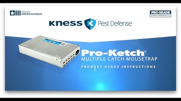 How to Set a Pro-Ketch® Multiple Catch Mousetrap