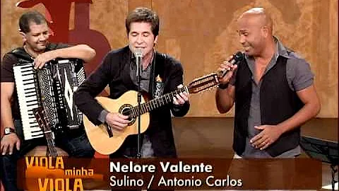?Nelore Valente?, por Daniel e Rick Sollo