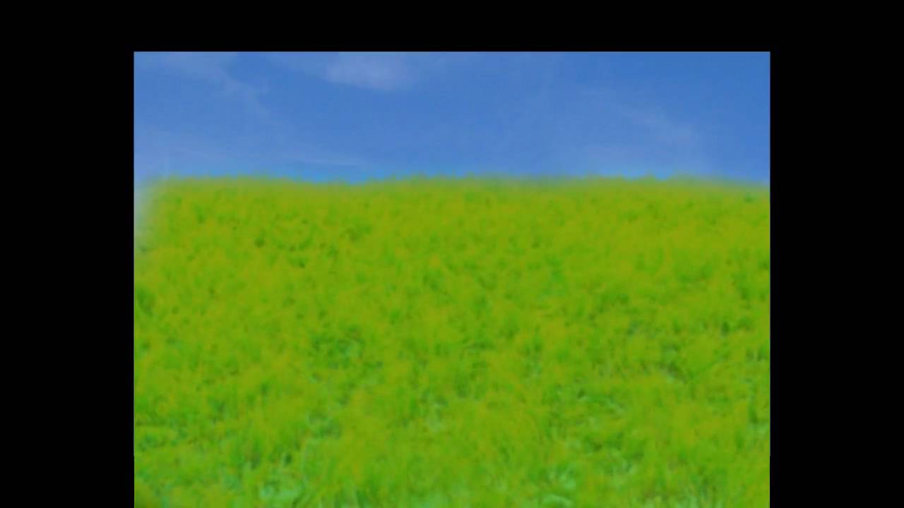Blender Grass Animation YouTube