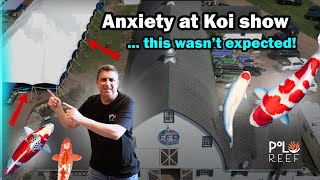 ZNA Japanese Koi show takes an unexpected turn!