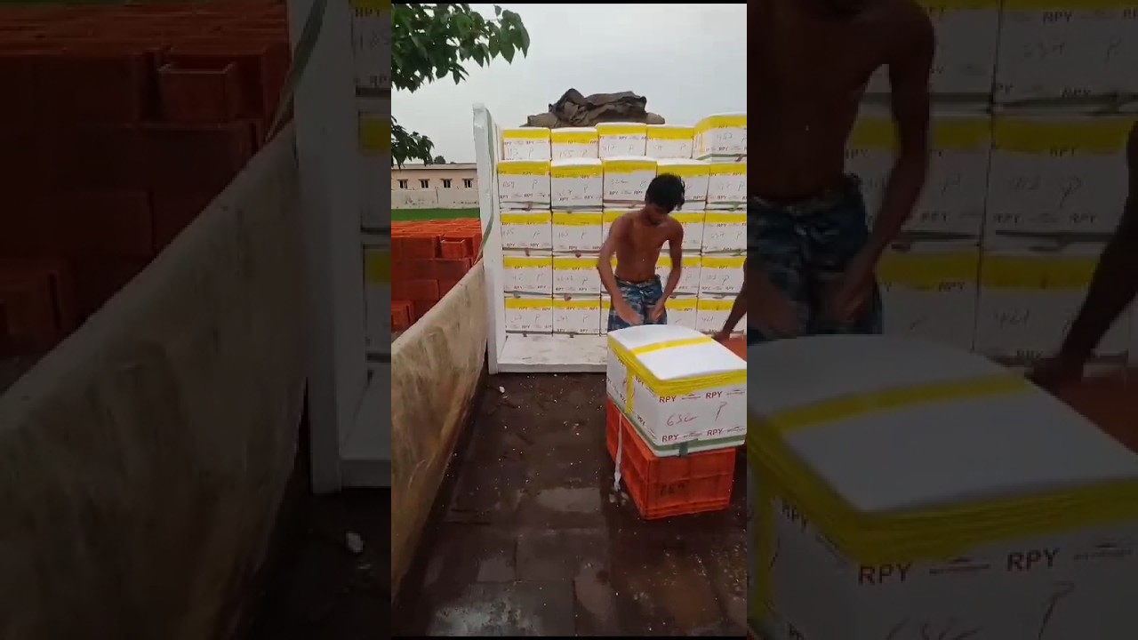 Andhra Pradesh fish packing unit 