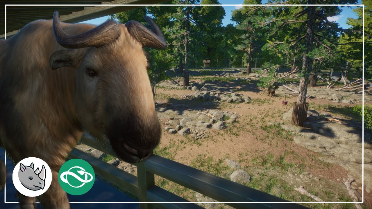 Takin habitat | One habitat wonder | Speed build | Planet zoo - YouTube