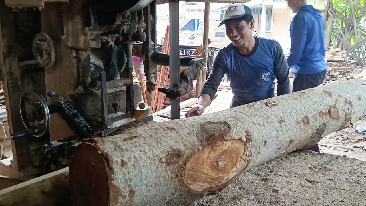 POTONG SENGON DAN MAHONI PAPAN