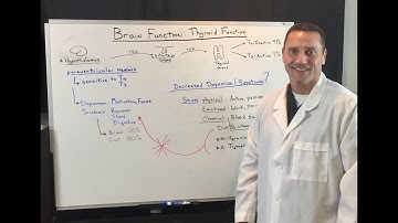 The Thyroid and Brain Connection