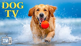 DOG TV: Лучшее развлекательное видео для собак: успокойте тревогу вашей собаки с помощью потрясаю...