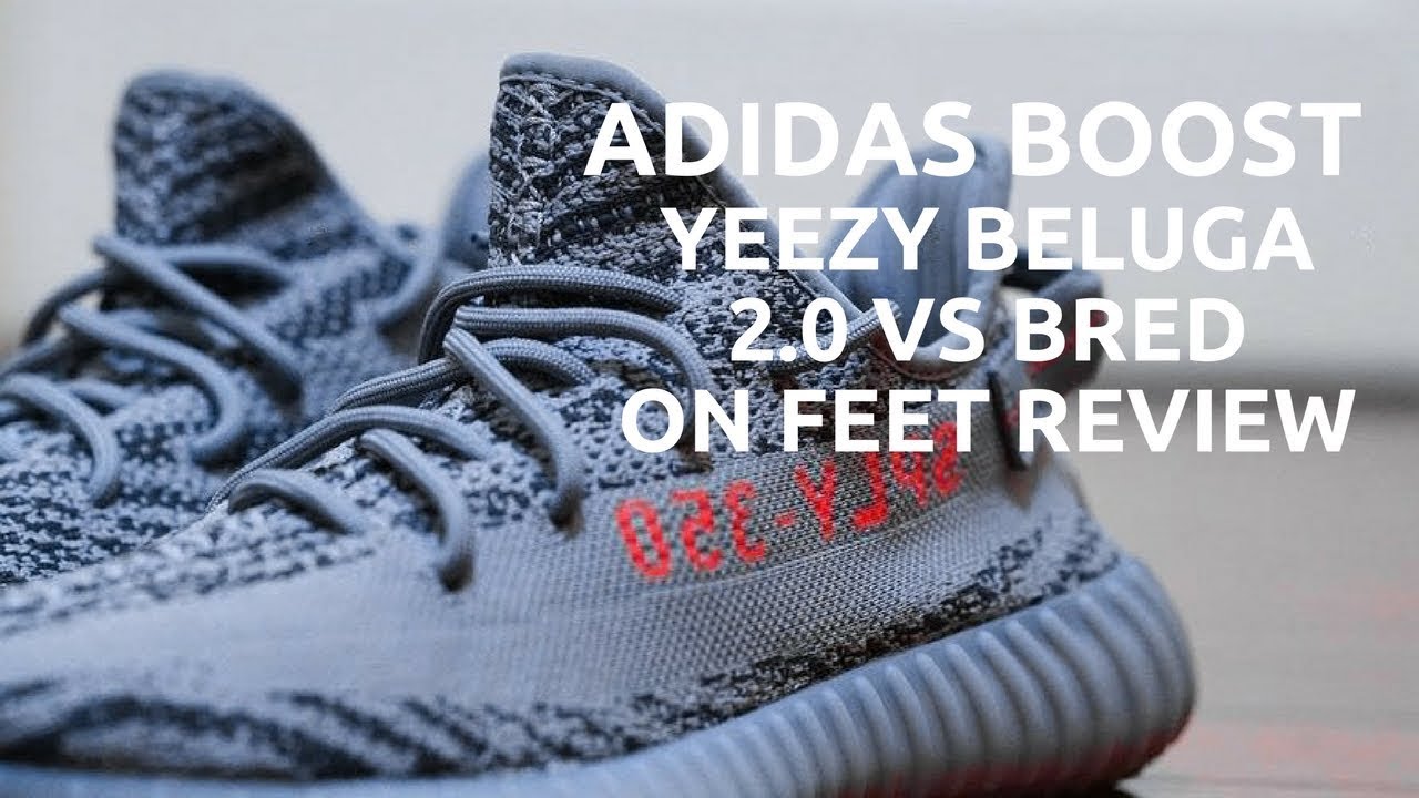 Yeezy Beluga 2.0 Review