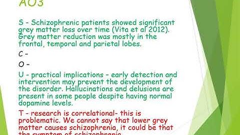 Neural Correlates as an Explanation of Schizophrenia
