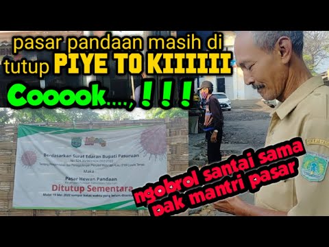 harga kambing murah  di pasar pandaan, soal nya ngak ada yg di review