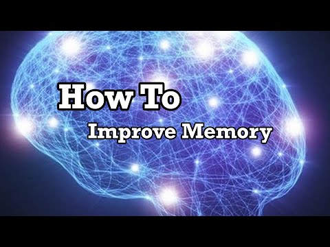 How To Improve Memory: Results From Our Clinical Trials, By Author: Steve Blake, Sc.D.