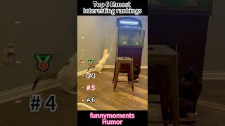 Top 6 Mmost Interesting Rankings