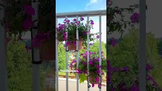 RailScapes Plant Hanger by PlantTraps.com #garden #balconygarden #plants