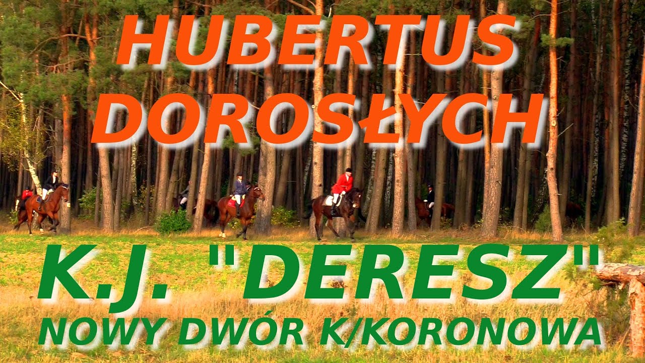 KJ DERESZ - Hubertus Dorosłych
