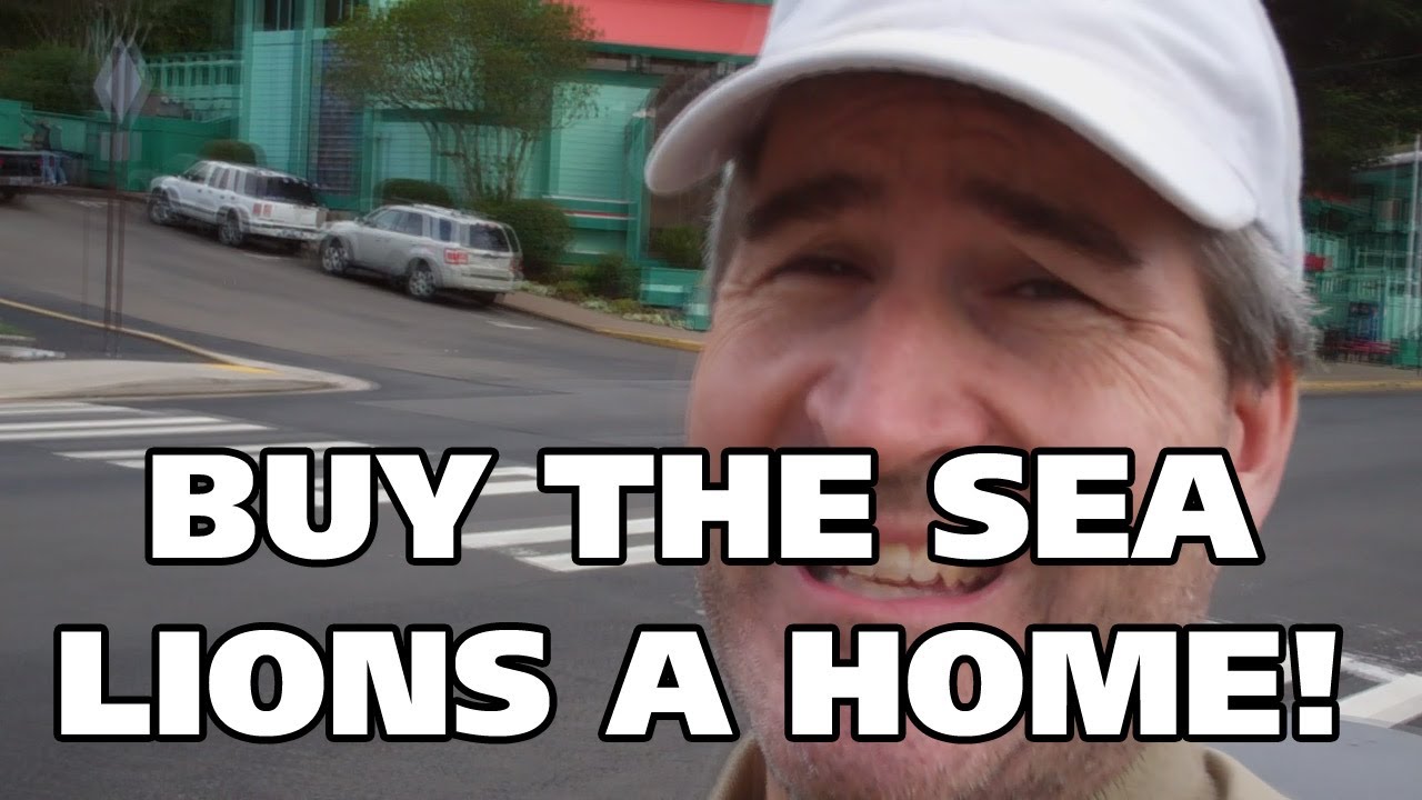 SEA LIONS NEED A HOME! - Oregon Coast Trip 2012, #8 computers for sale near me