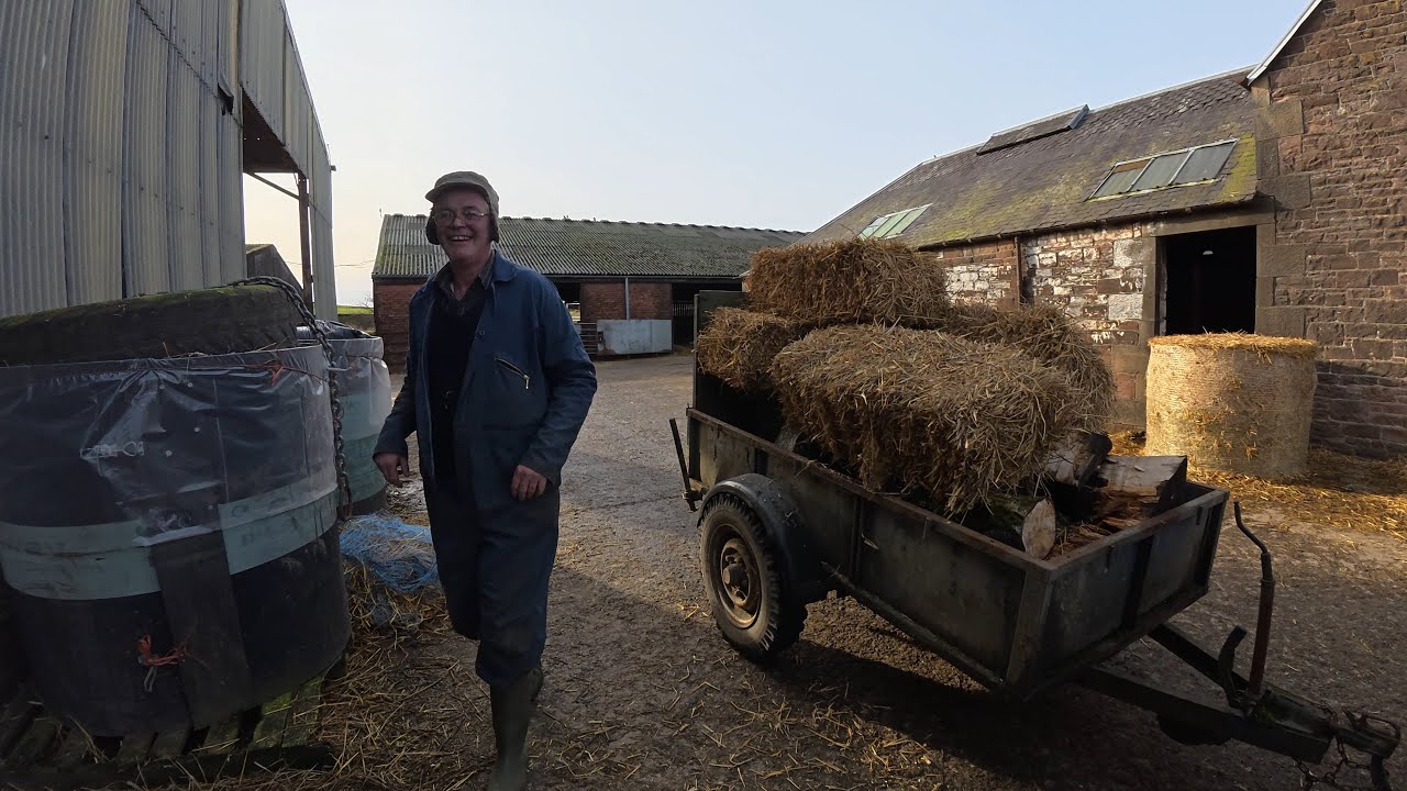 Кормовые растения