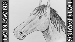 How to Draw a Horse l pencil Sketch l TW Drawing