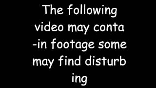 Proof That Bluetek Blue, Bluesdank, Trainer Blue Etc. Is An Alien