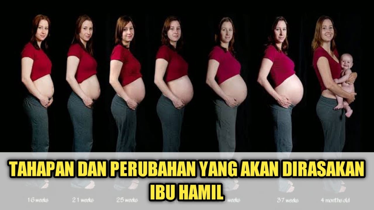 Tahapan Kehamilan Dan Perubahan Yang Akan Dialami Oleh Ibu Hamil Youtube